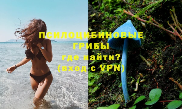 скорость mdpv Богородицк