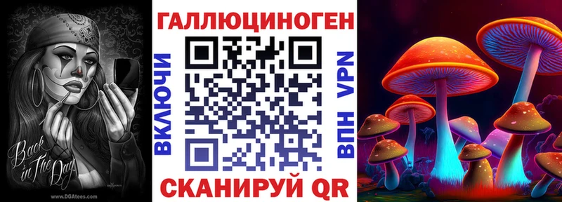 Псилоцибиновые грибы Psilocybe Краснознаменск