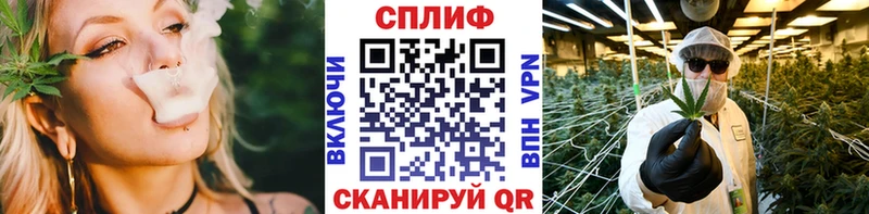 Конопля Ganja  Краснознаменск 